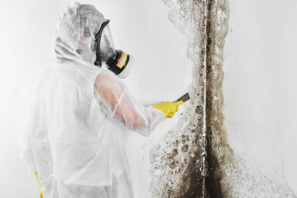 Home Mold Removal in Ottawa, KS