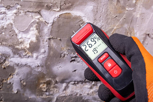 Best Affordable Mold Removal  in Ottawa, KS