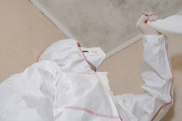 Best Attic Mold Removal  in Ottawa, KS