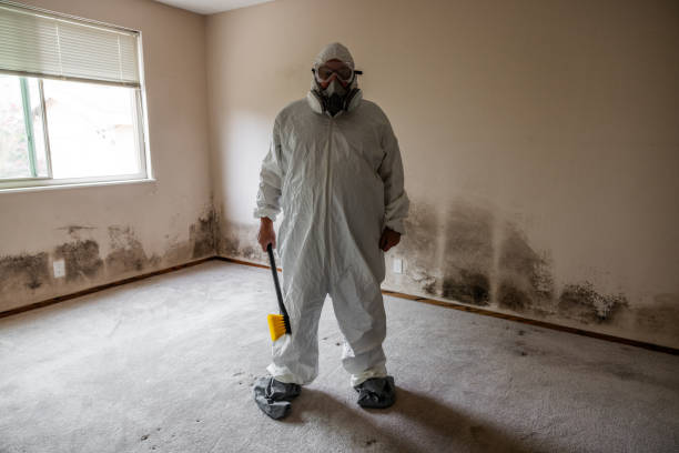 Best Mold Testing and Removal  in Ottawa, KS